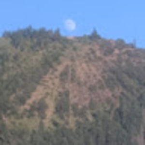 Meet your Posher, Craig